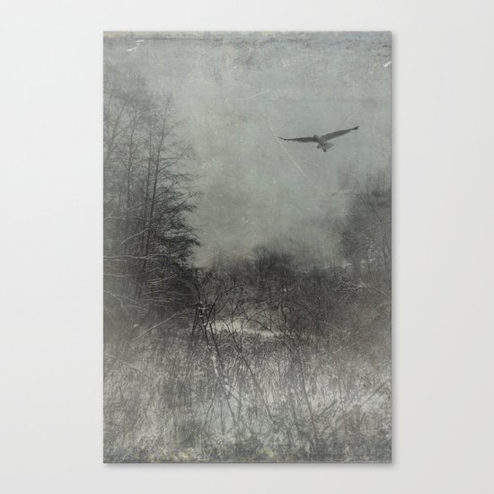 freedom Canvas Print