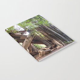 Redwoods National Park Prints Notebook