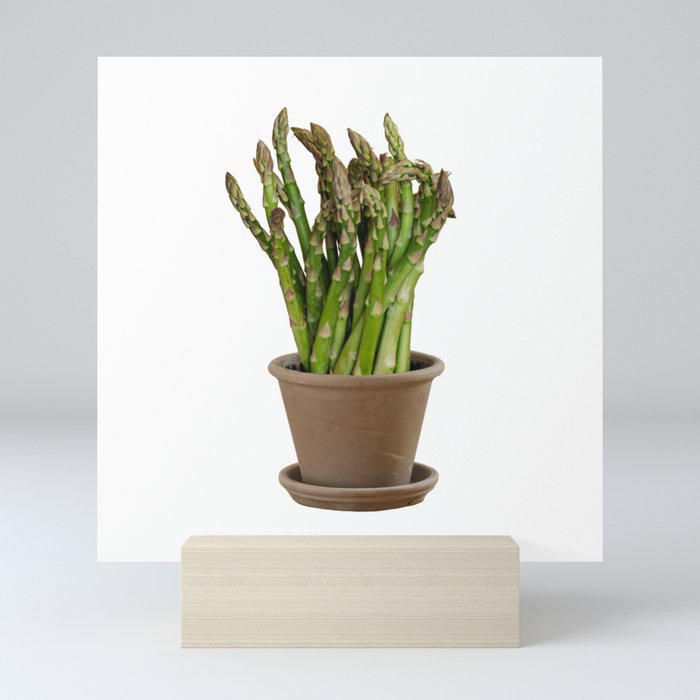 Asparagus flowers Mini Art Print
