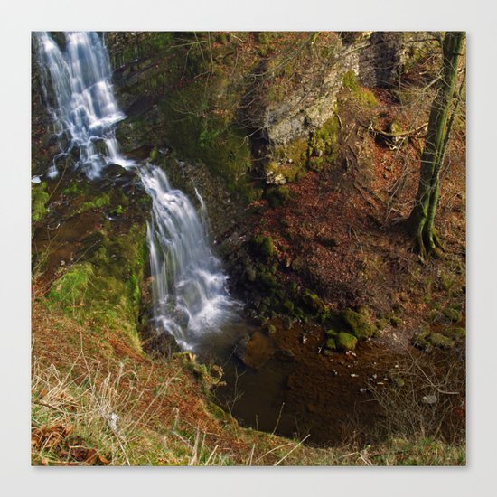 Scaleber Force 2 Canvas Print