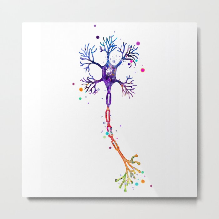 Motor Neuron Brain Cell Anatomy Watercolor Medical Science Art Metal Print