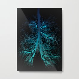 Aqua Lungs Metal Print