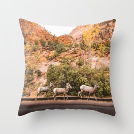 Zion National Park Big Horn Sheep Throw Pillow