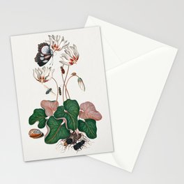 Cyclamen, Northern dune tiger beetle, Leaf beetle, Flesh fly and Wasp beetle from the Natural History Cabinet of Anna Blackburne Stationery Card