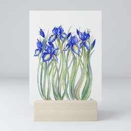 Blue Iris, Illustration Mini Art Print