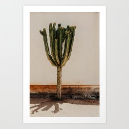 Cactus USA | Fine Art Travel Photography Art Print