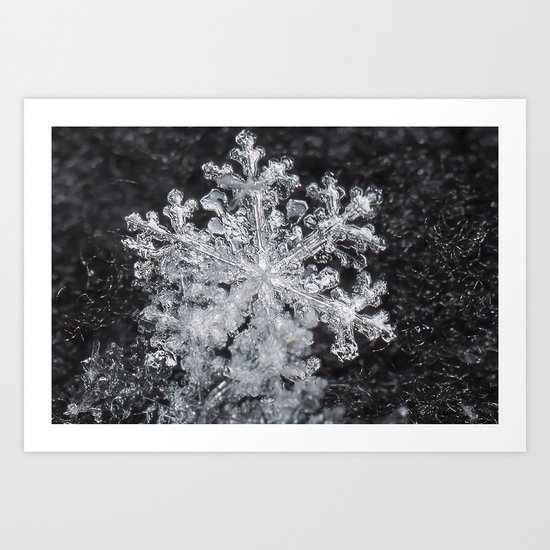 Snowflake Closeup #3 Art Print