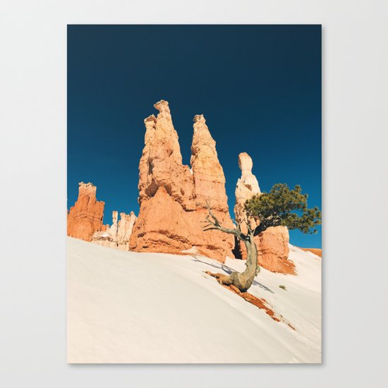 Desert Landscape #photography Canvas Print