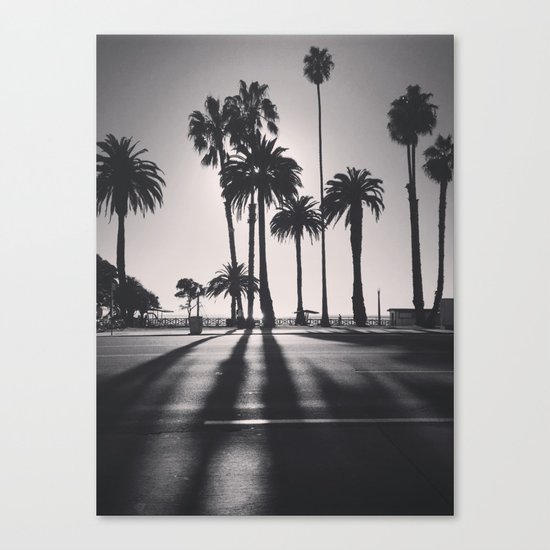 Palm Trees Canvas Print