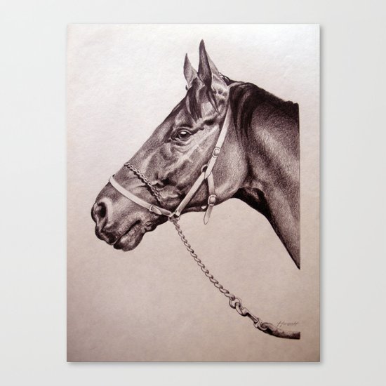 Sir Alfred - Racehorse Canvas Print