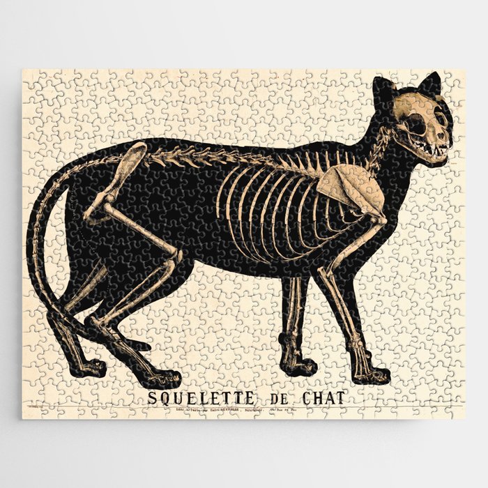 Vintage French zoological board - Cat skeleton Jigsaw Puzzle