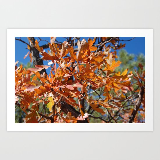 Orange Leaves Art Print