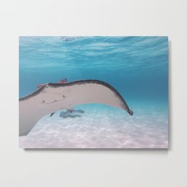 fly by Metal Print