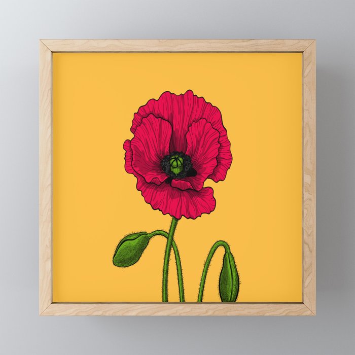 Red poppy drawing Framed Mini Art Print
