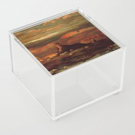 the sphinx of the seashore - Elihu Vedder  Acrylic Box