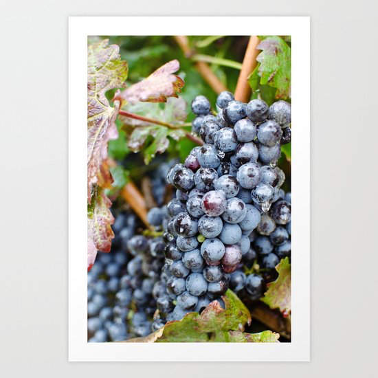 A Nice Virginia Red Art Print