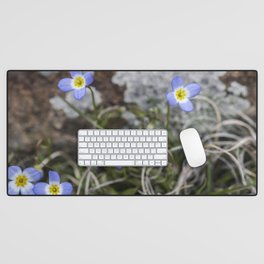 Wildflower Bluets Desk Mat