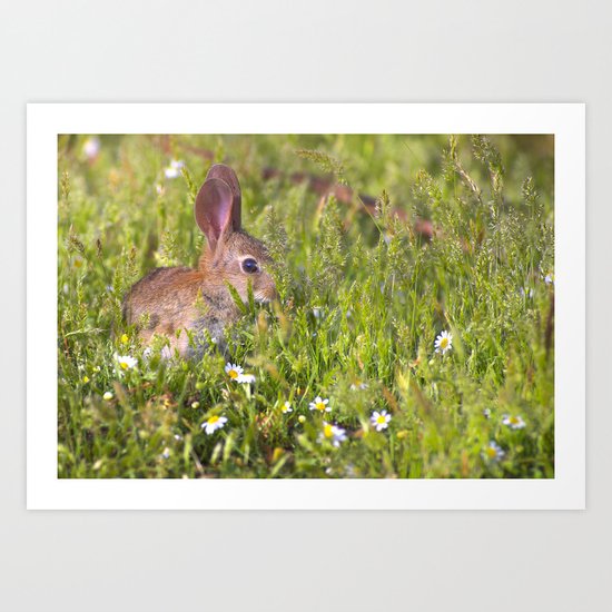 Baby spring rabbit Art Print