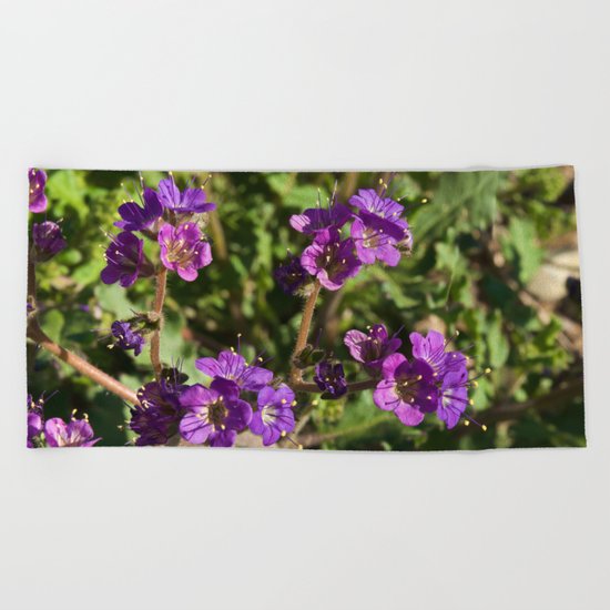 Notch-Leaved Phacelia - Desert Wildflower Beach Towel