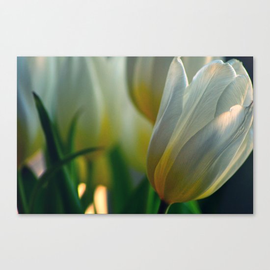 #69 Canvas Print