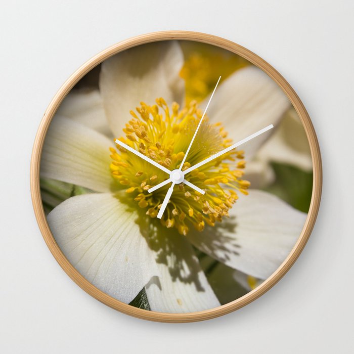 daisy Wall Clock