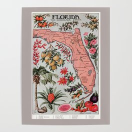 Florida Vintage Poster (1917) Poster