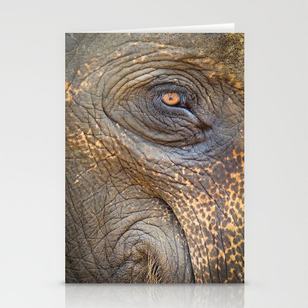 Close-up Elephant eye Stationery Cards