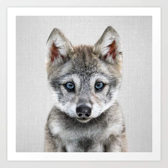 Baby Wolf - Colorful Art Print