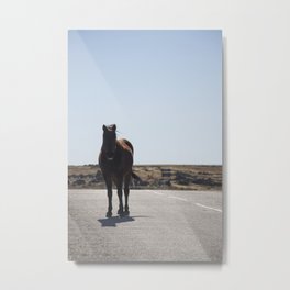 Wild Horse - Road Trip - Equine - Brown Horse - Adventure Wanderlust - Travel Photography Metal Print | Animal, Adventure Holiday, Lonehorse, Artprint, Poster, Horsewalldecor, Equine, Brownhorse, Walldecor, Wallart 