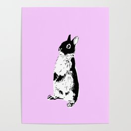 rabbit Poster