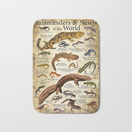 Salamanders & Newts of the World Bath Mat | Easternnewt, Newtposter, Redsalamander, Salamanderposter, Newtillustration, Salamanderart, Drawing, Marbledsalamander, Tigersalamander, Newtart 