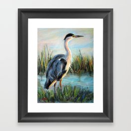 blue heron Framed Art Print
