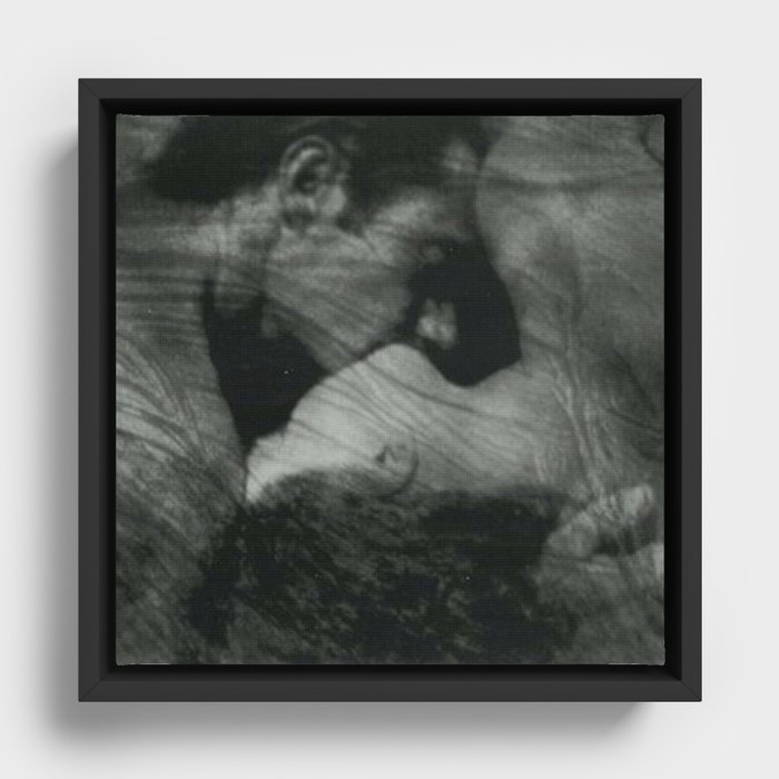 Framed Canvas