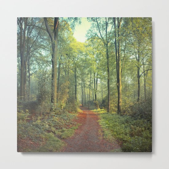 Forest Morning Walk Metal Print