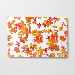multicolored Autumn Leaves Falling  Metal Print