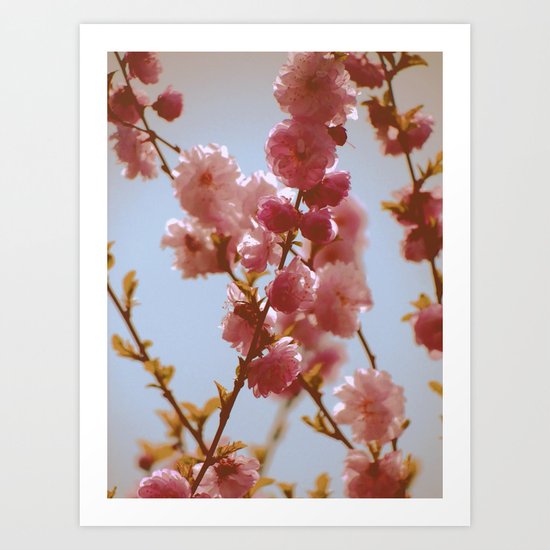 Early March Art Print