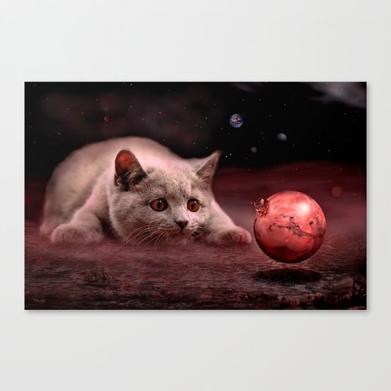 Mouse on Mars Canvas Print