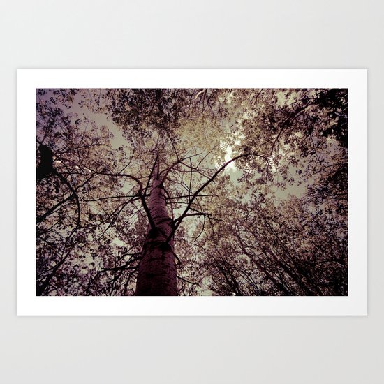 Vintage Spring Art Print
