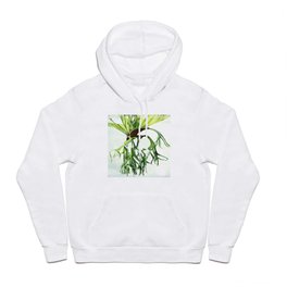 Staghorn Hoody