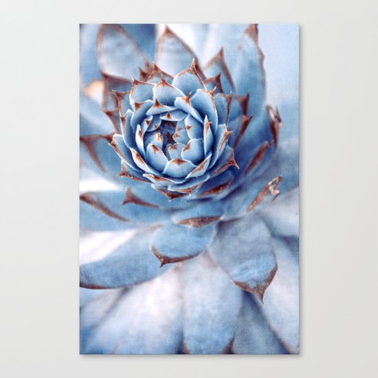 miracle Canvas Print