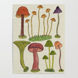 Mushrooms  Poster