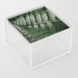 Fern Acrylic Box