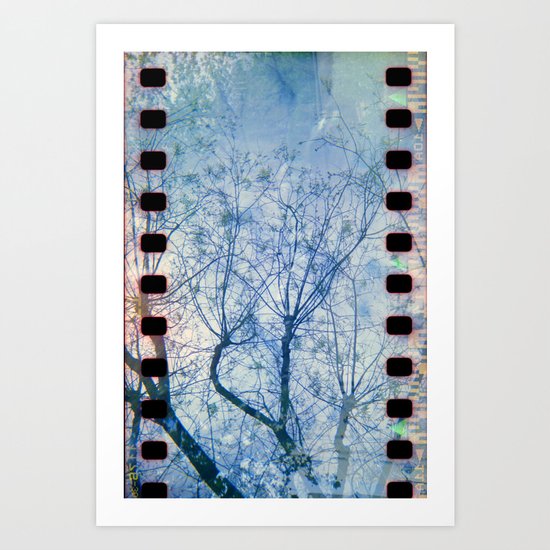 Blue Winter Blossoms Art Print