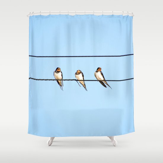 Sleepy Swallows Birds On The Wire, Birds On A Wire Shower Curtain