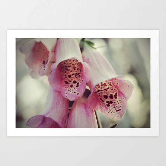 Fairy caps Art Print