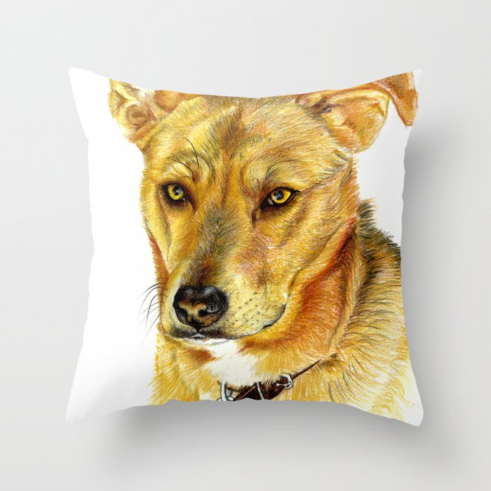 Staffy pillow shop
