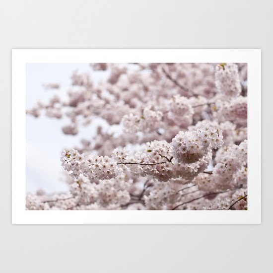 delicate blooms Art Print