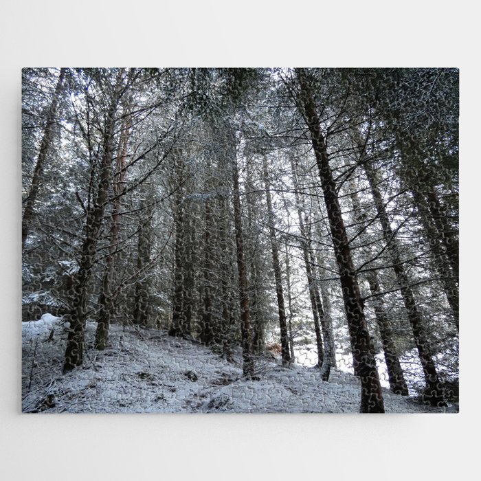 Snow Bound Nature Trail  Jigsaw Puzzle