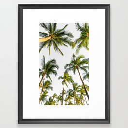 Palm Trees Framed Art Print