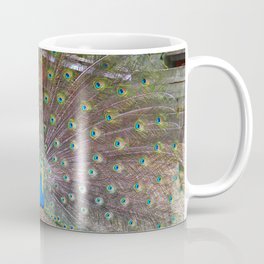 Peacock on Full Display Coffee Mug